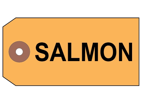 Salmon